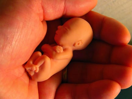 Vuonna 2005 Suomessa tehtiin 11 000 aborttia, kun samaan aikaan synnytyksiä oli 57 000 ja syntyneitä lapsia 58 000.