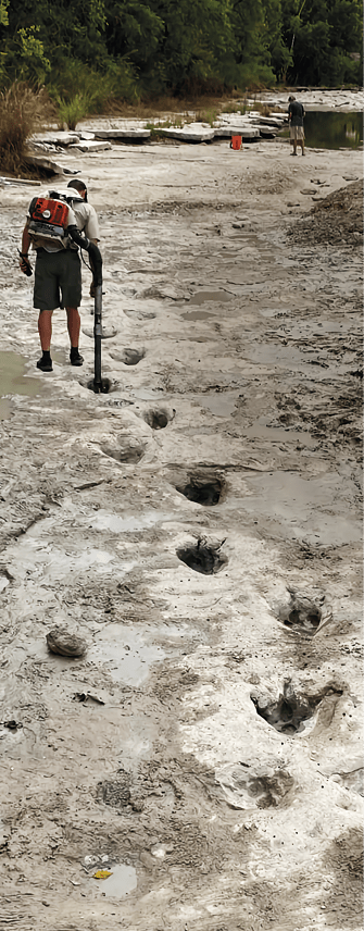 Kolmikyntisen dinosauruksen jalanjälkiä kuivuneessa pohjamudassa.
