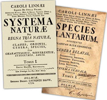 Kuvat Carl Linnaeuksen kirjojen Systema Naturae ja Species Plantarum otsikkosivuista. 