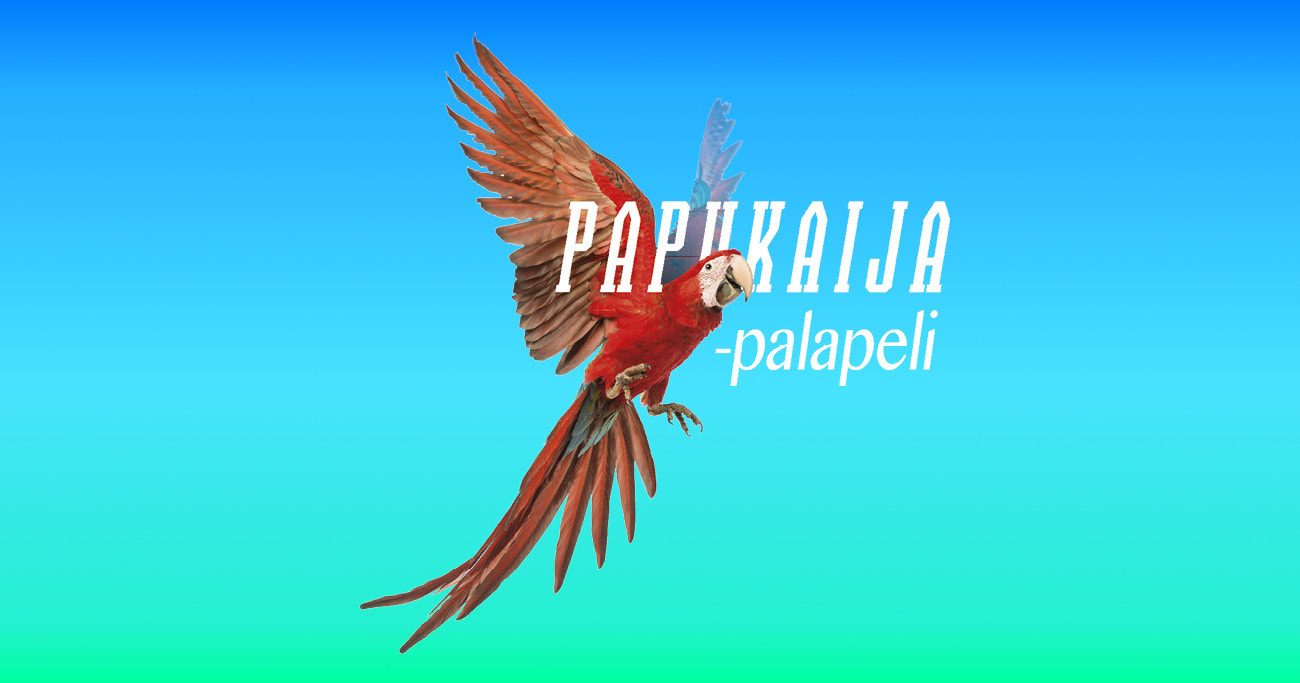 Punainen papukaija sinisellä ja turkoosilla taustalla, etualalla otsikko 'Papukaija-palapeli'. Kuva ©: creation.com