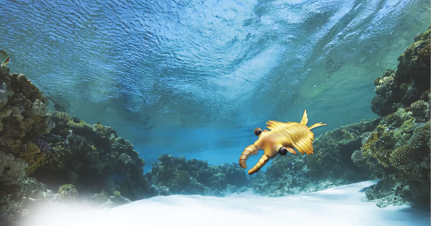 Valtameren pohjaa, jossa piirros Anomalocarista. Valtameren pohja ©: iStockphoto/stephankerkhofs, piirros ©: creation.com
