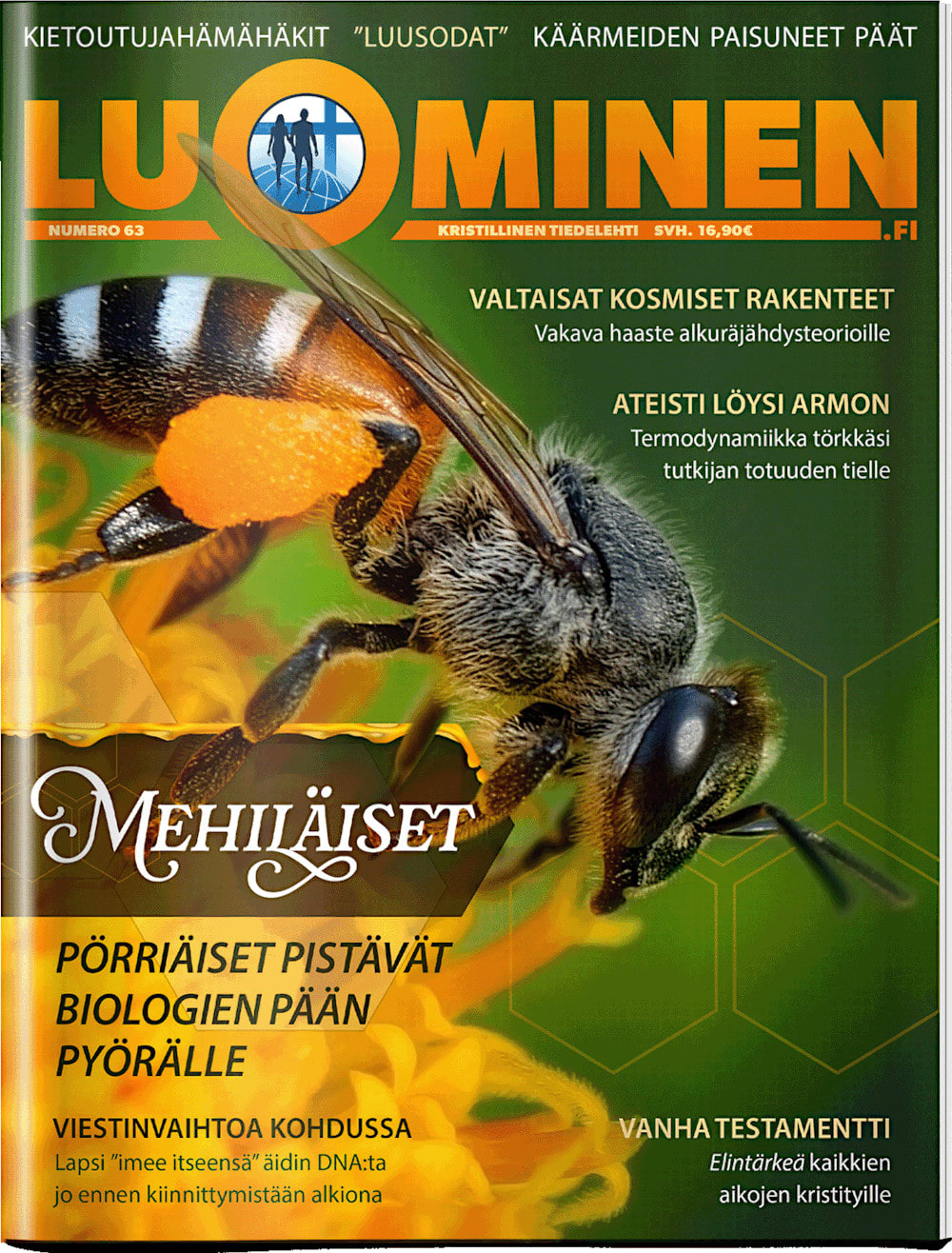 Luominen 63 kansikuva
